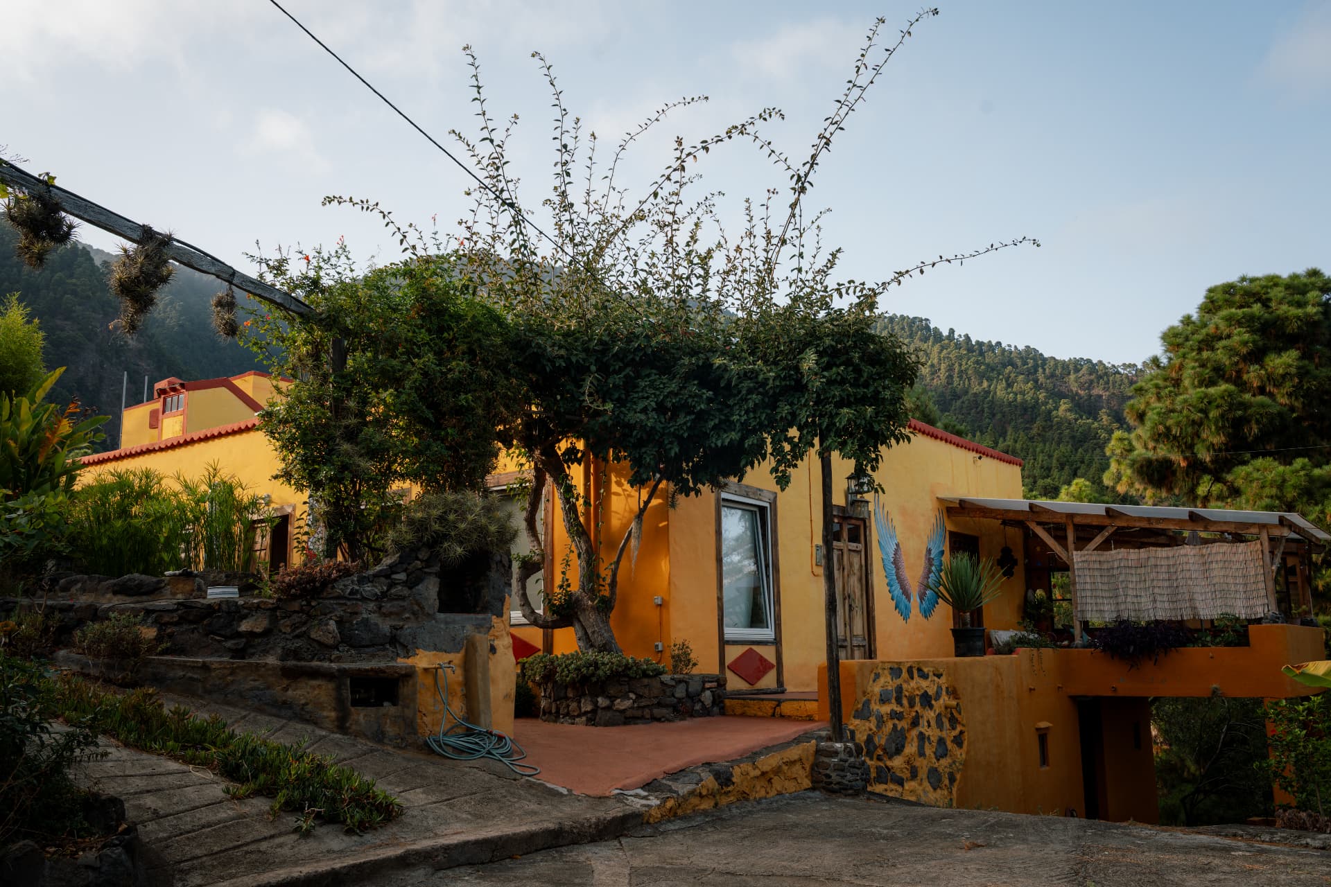 Das gelb gestrichene Haus der Ecofinca Miraflores mit Naturstein-Terrasse und einem Baum davor