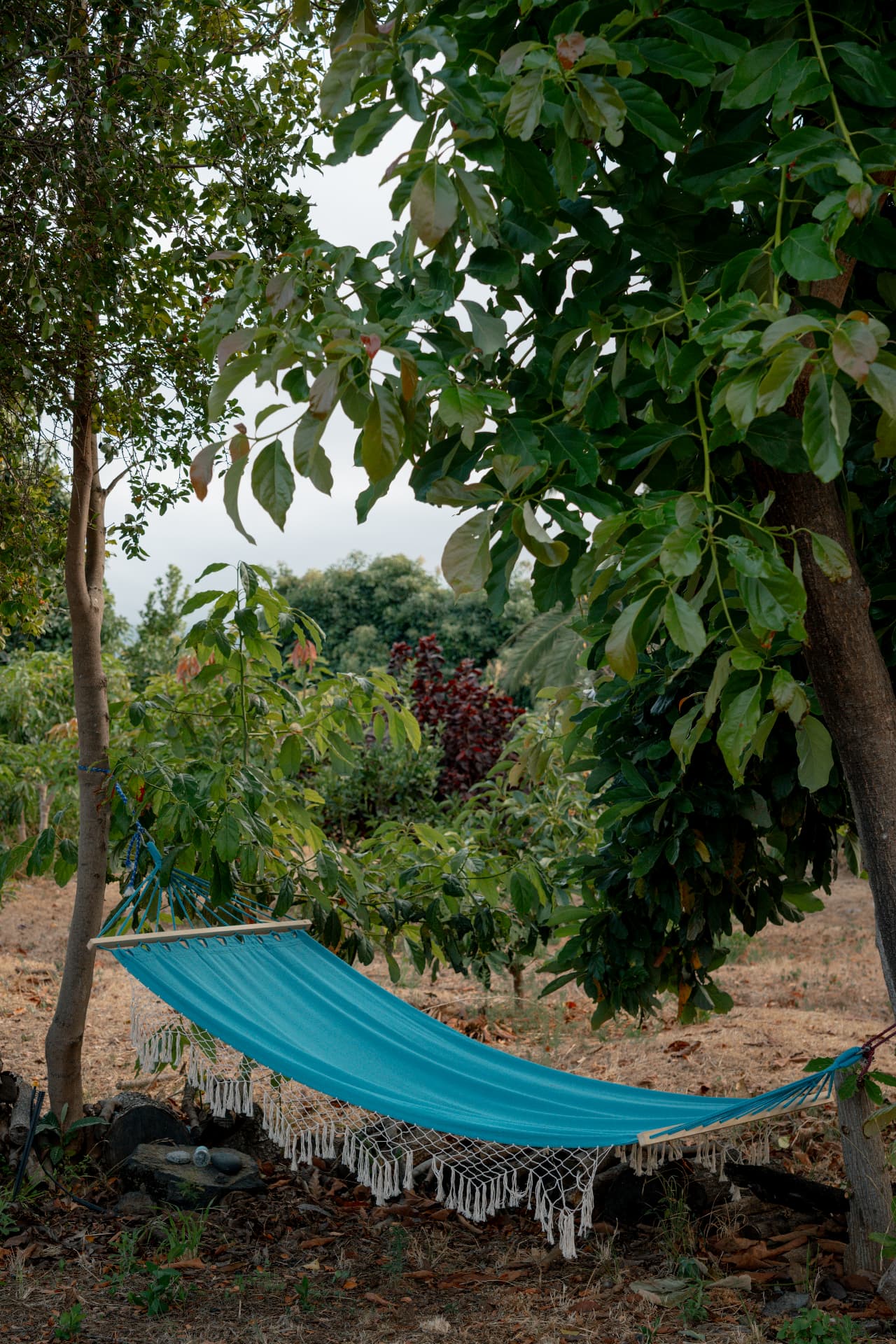 Rückzugshütte mit Hängematte im Garten der Finca