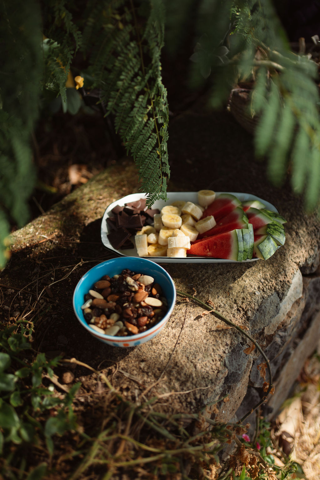 Teller mit Obst und Nüssen auf einer Steinmauer zwischen Farnen